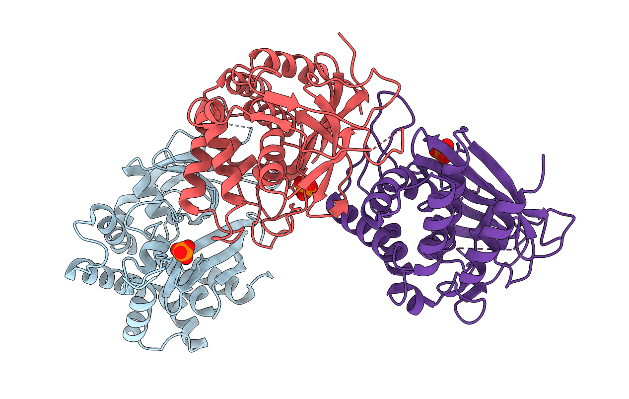 2C1W image