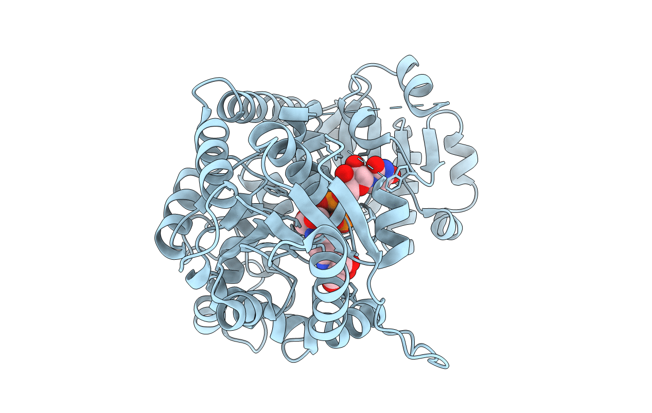 2C1X image