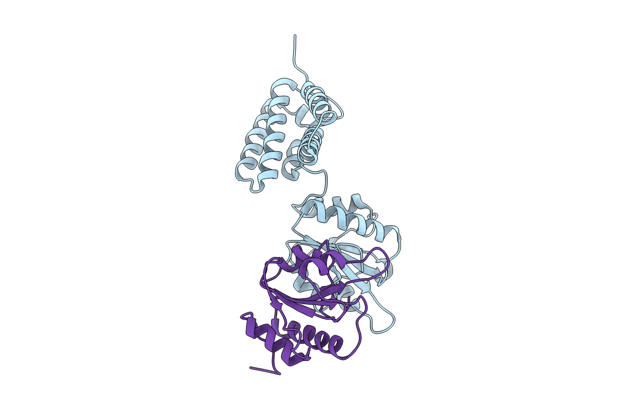 2C1Y image