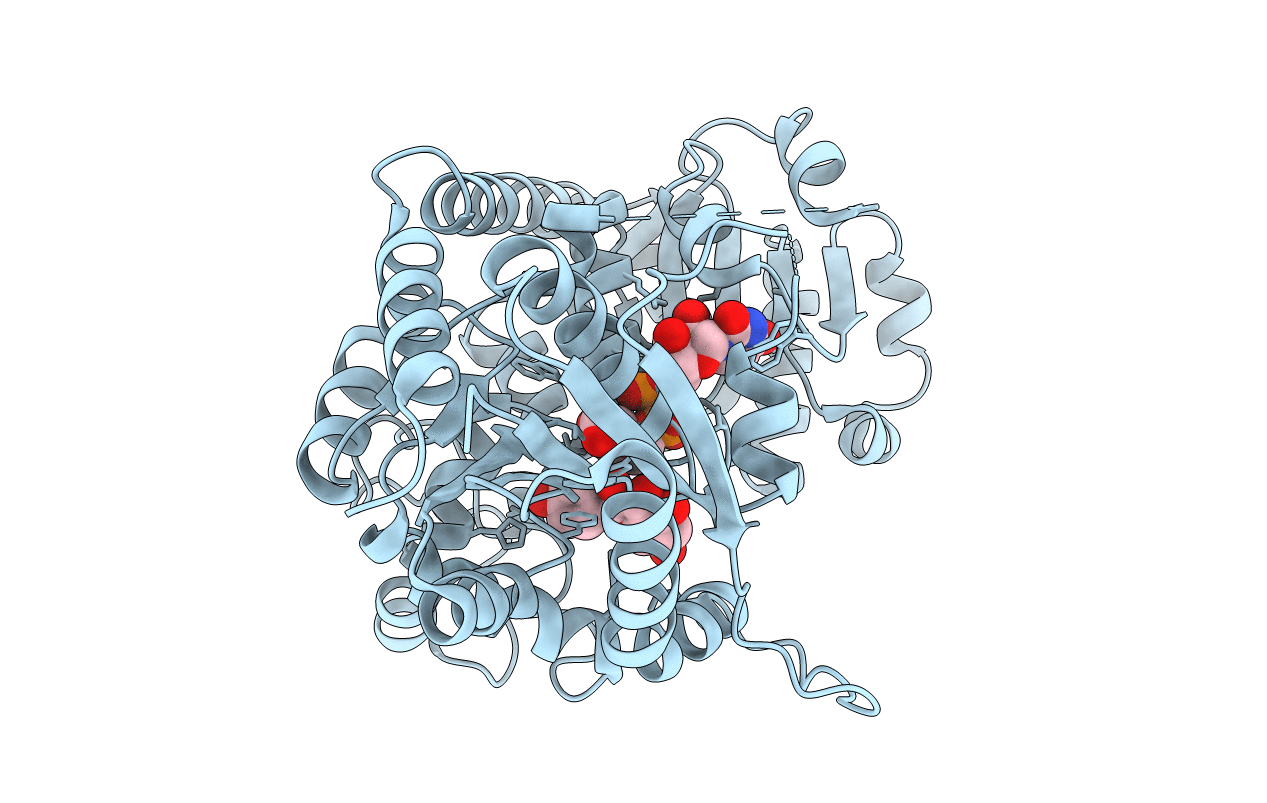 2C1Z image
