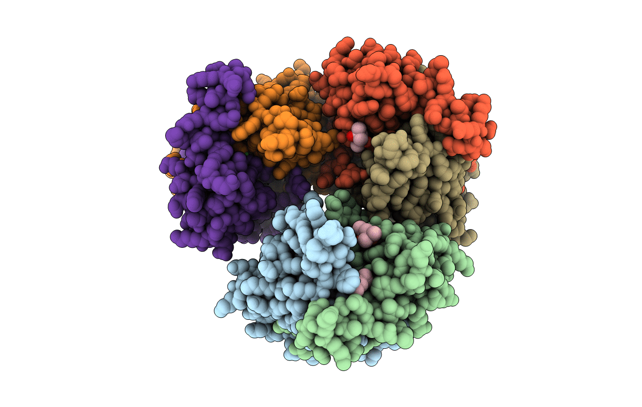 2C21 image
