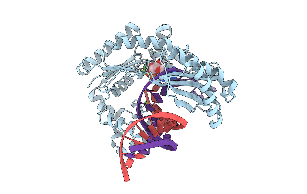 2C22 image