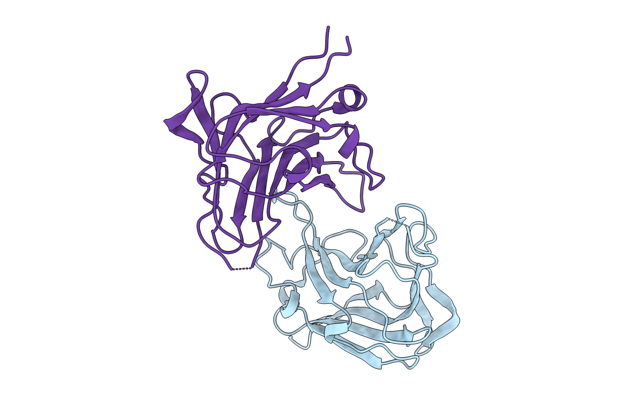 2C24 image