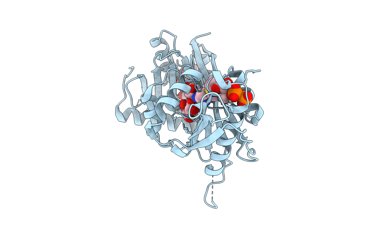 2C27 image