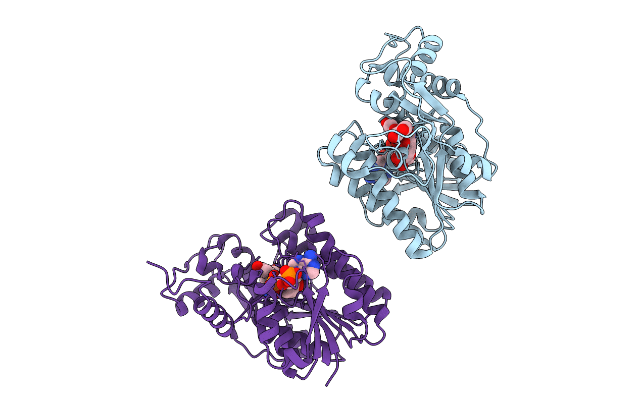 2C29 image