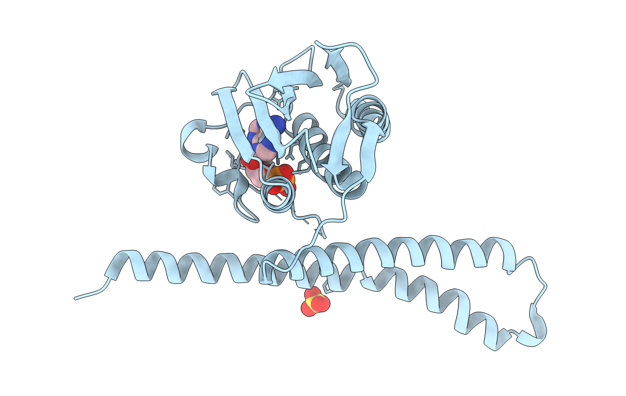 2C2A image