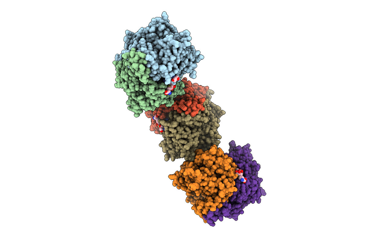 2C2B image
