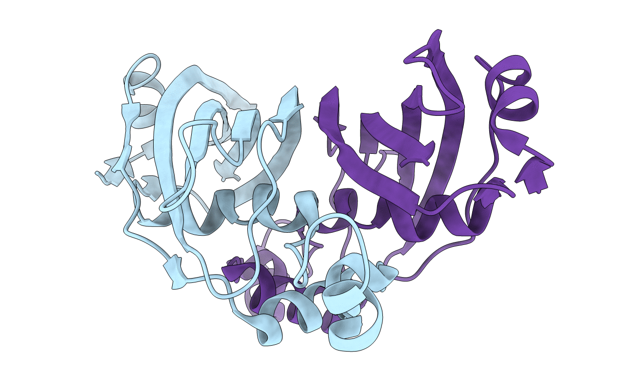 2C2I image