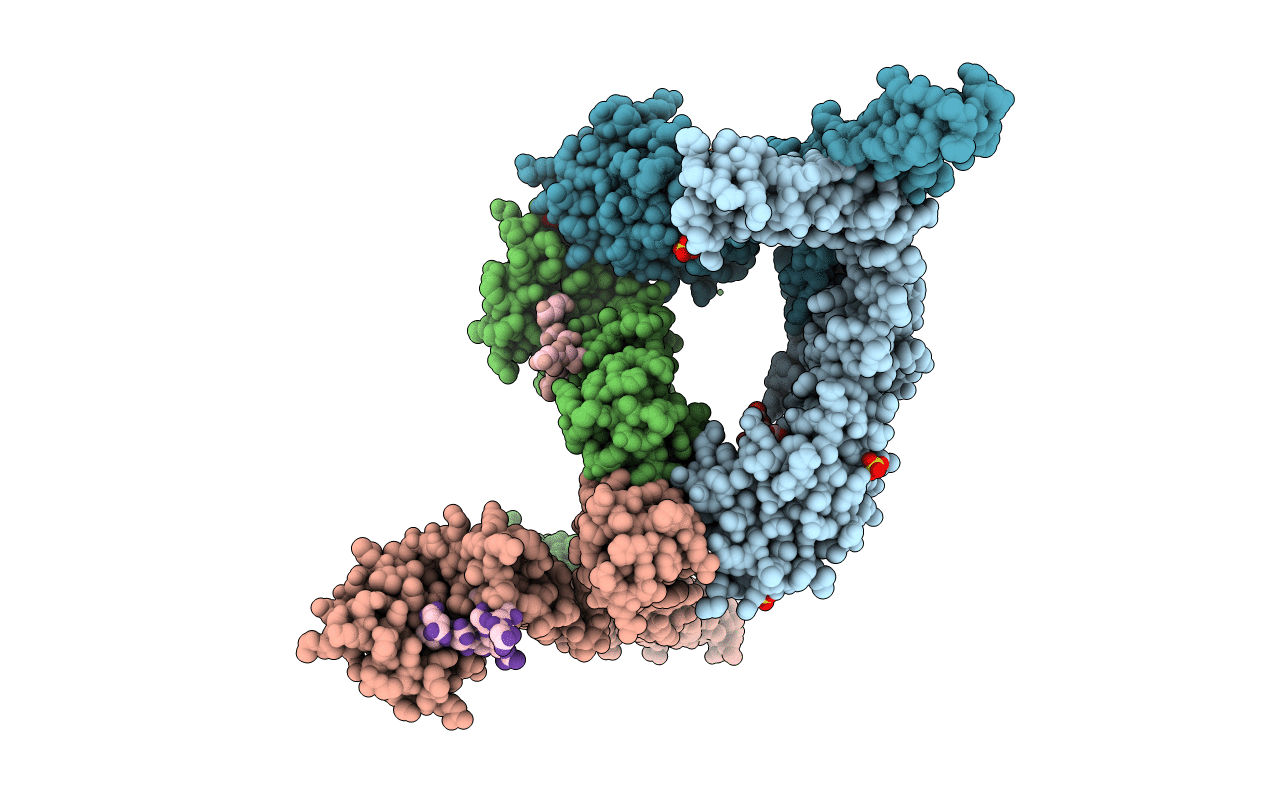 2C2L image