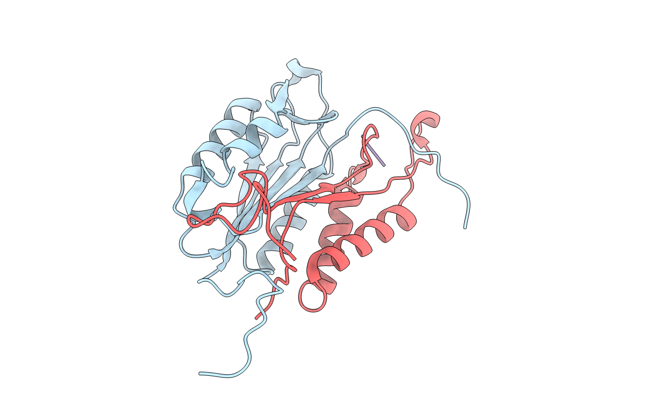 2C2M image