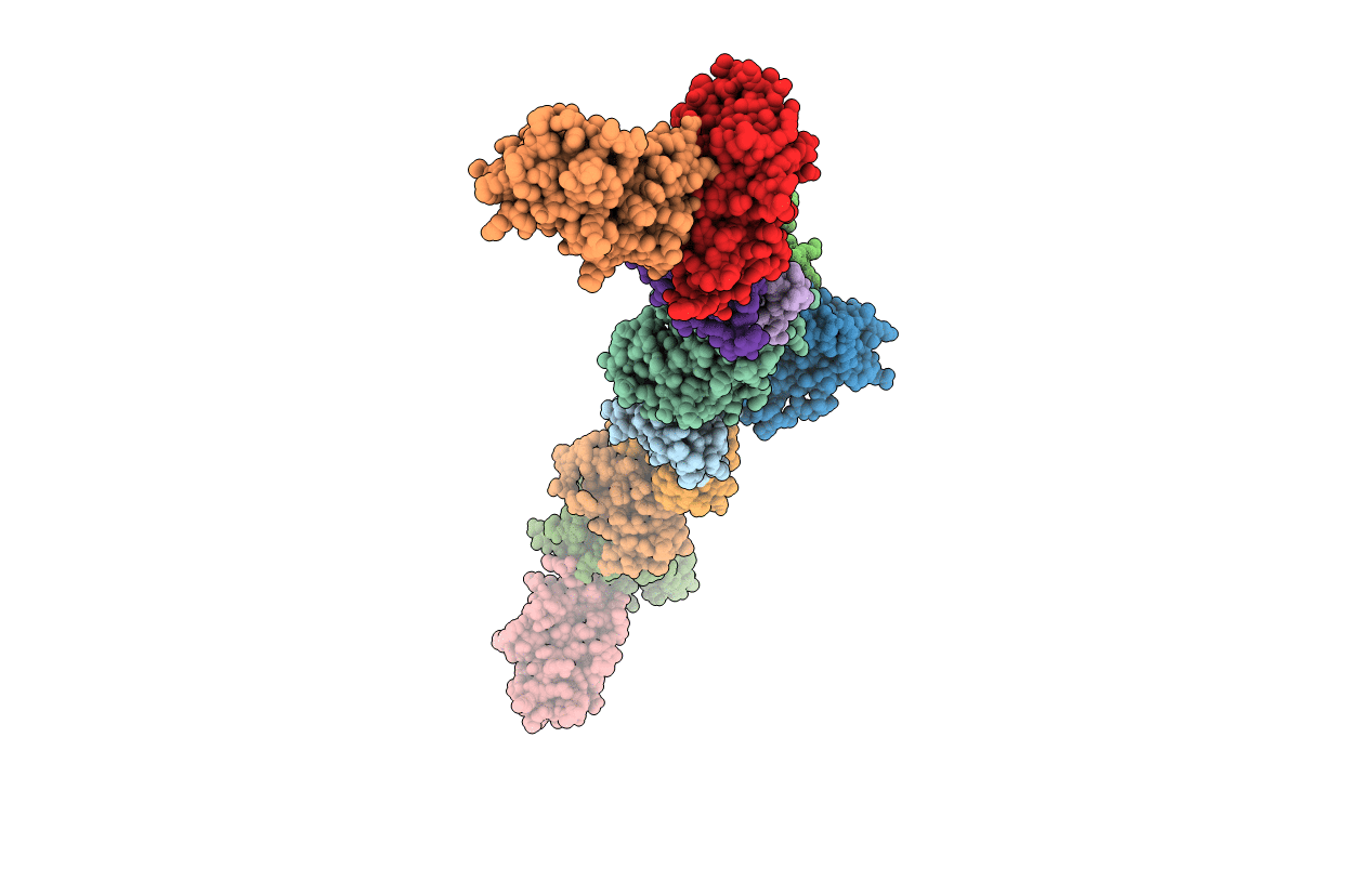 2C2V image