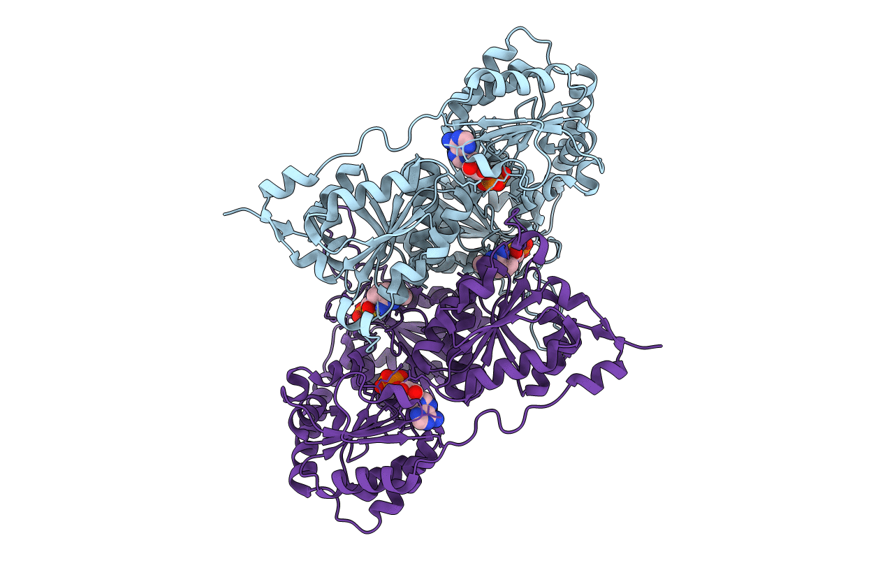 2C31 image
