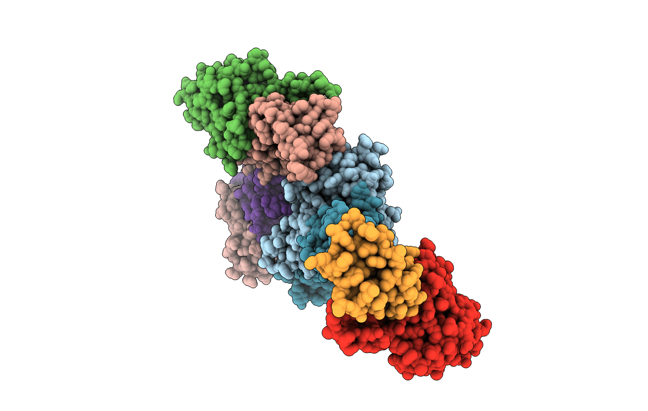 2C35 image