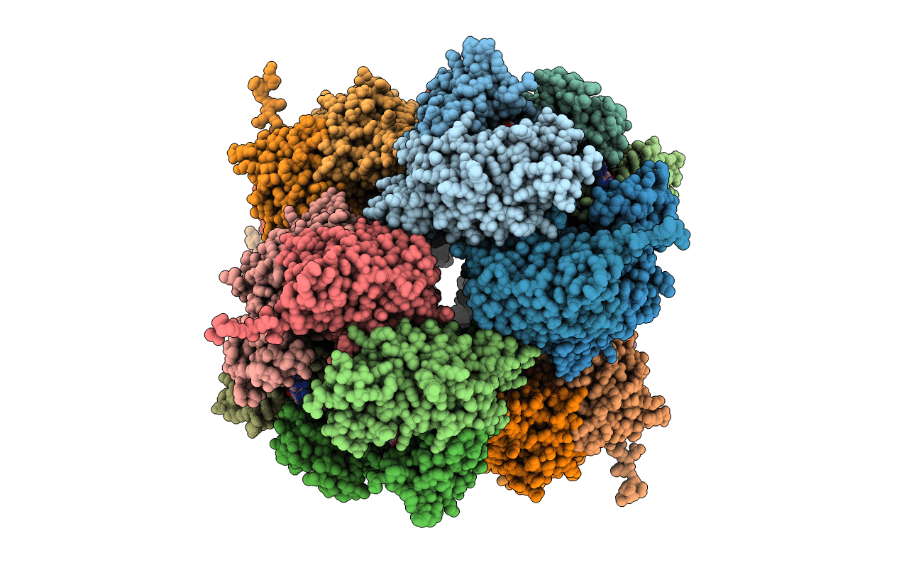 2C38 image