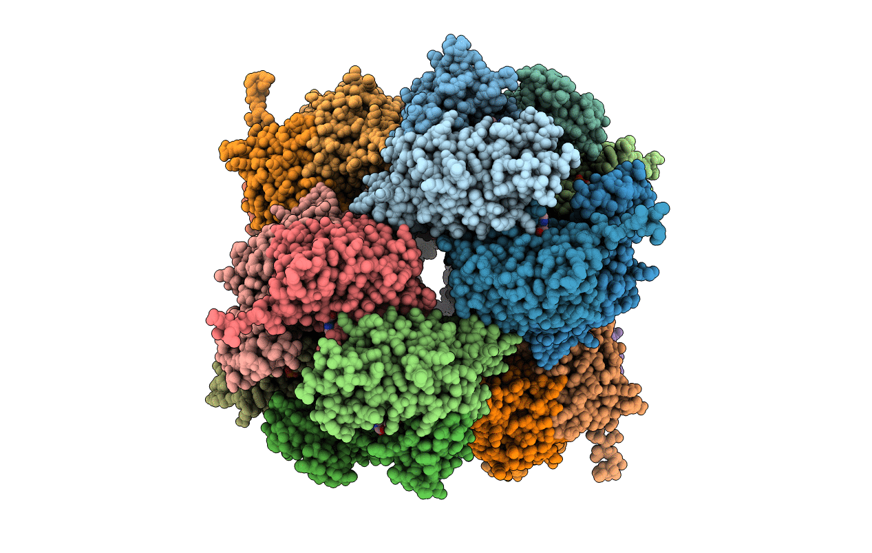 2C39 image