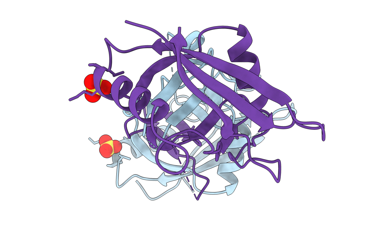 2C3B image
