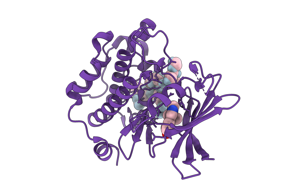 2C3I image