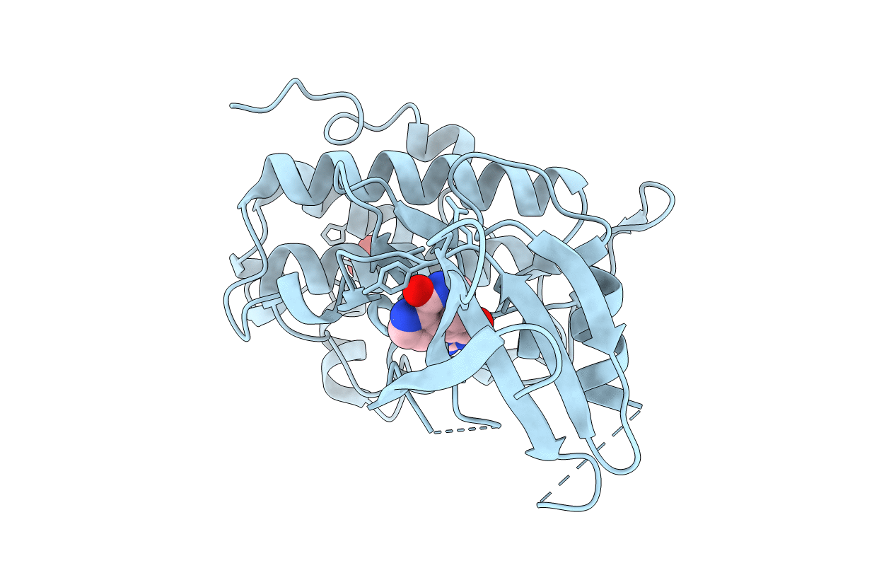 2C3J image