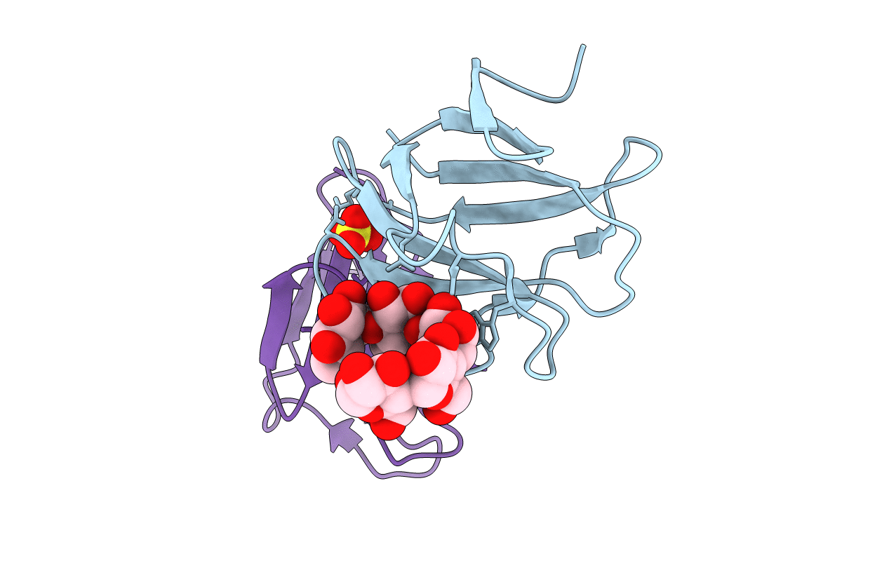 2C3X image