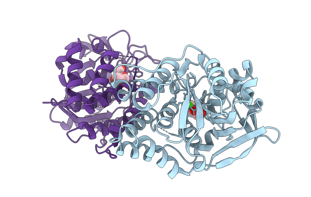 2C40 image