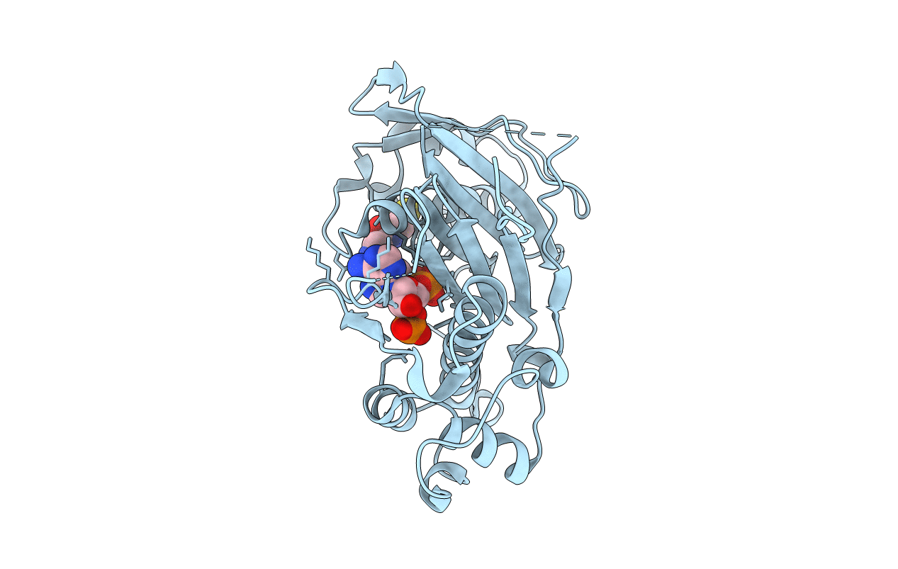 2C43 image