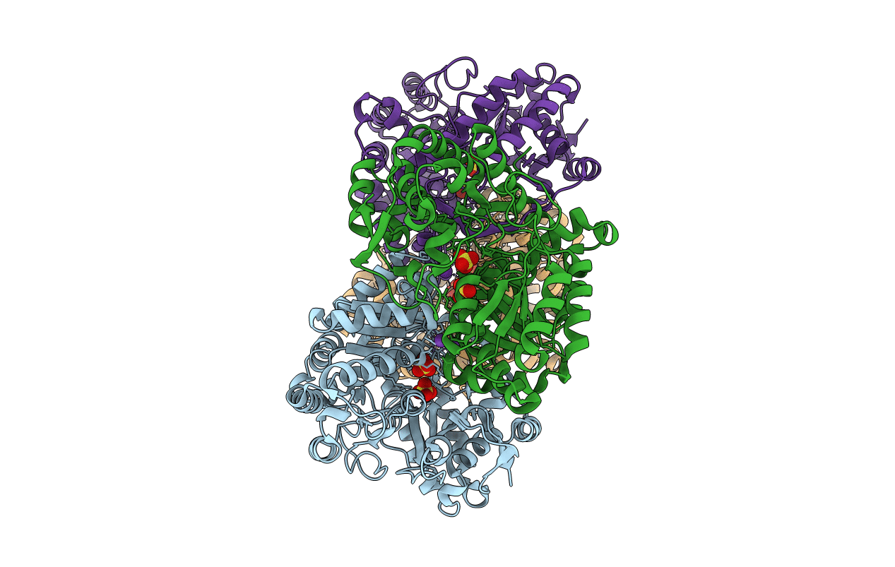 2C44 image