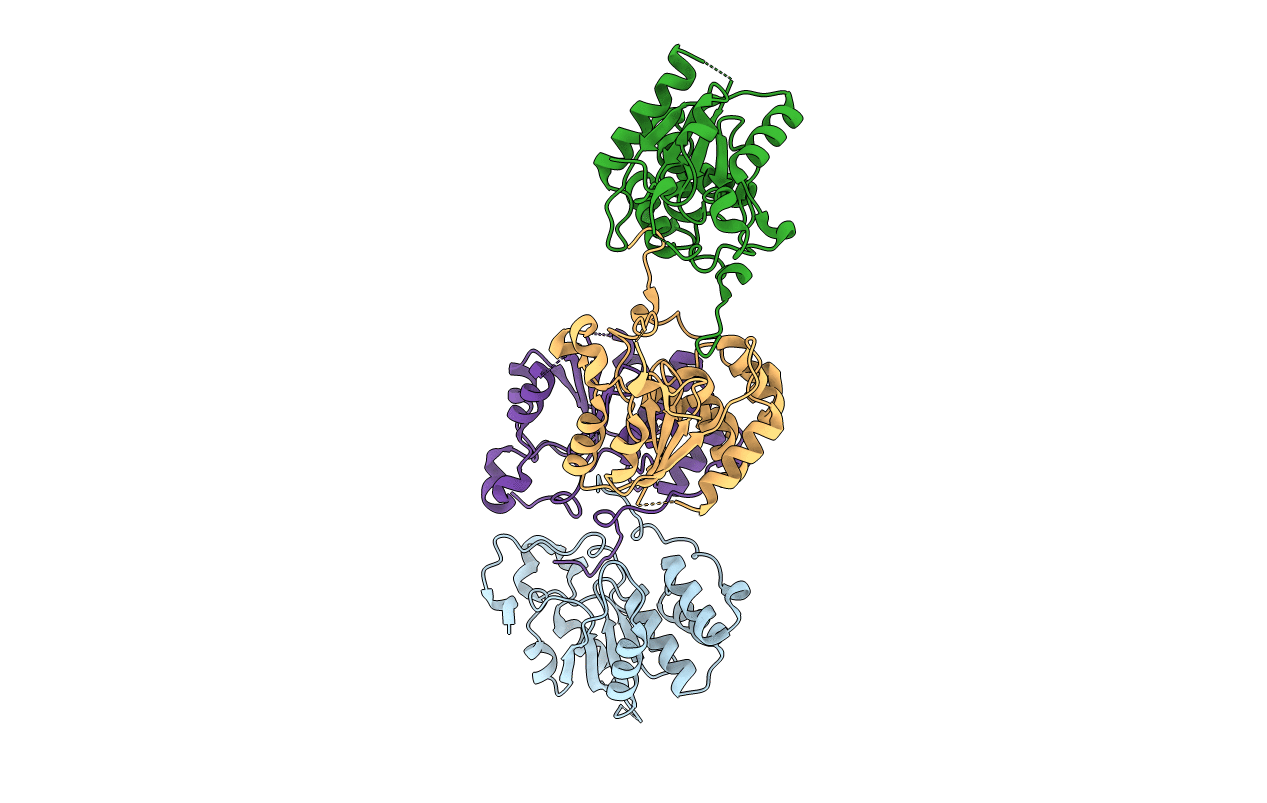 2C46 image