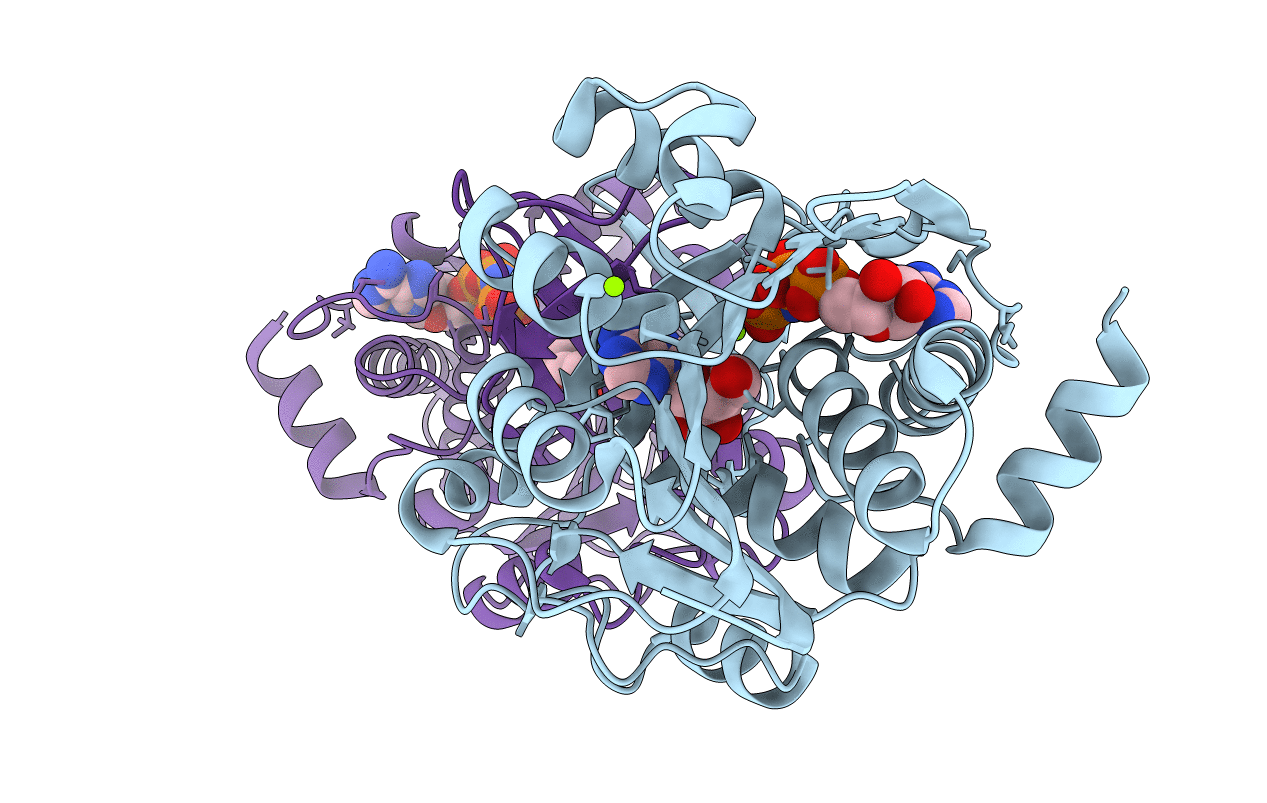 2C49 image
