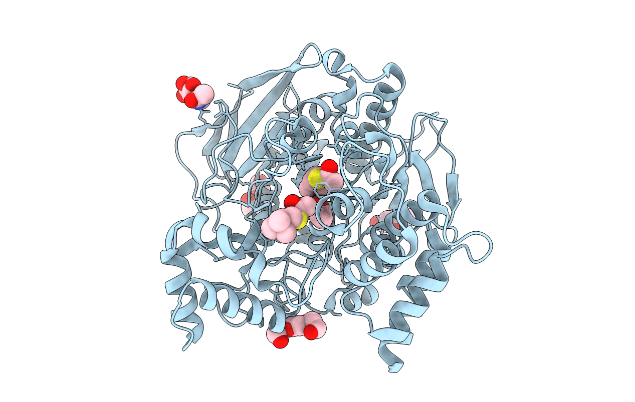 2C4H image