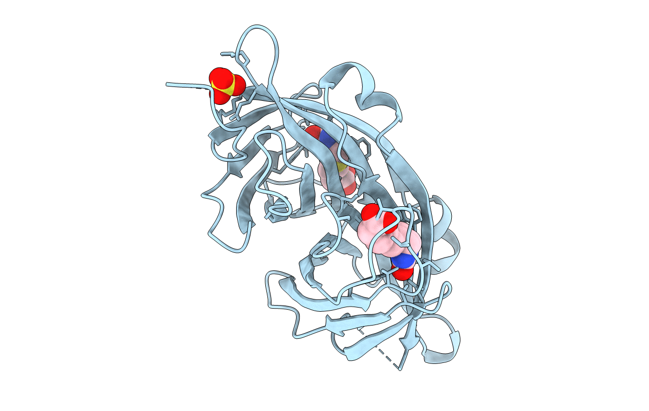 2C4I image