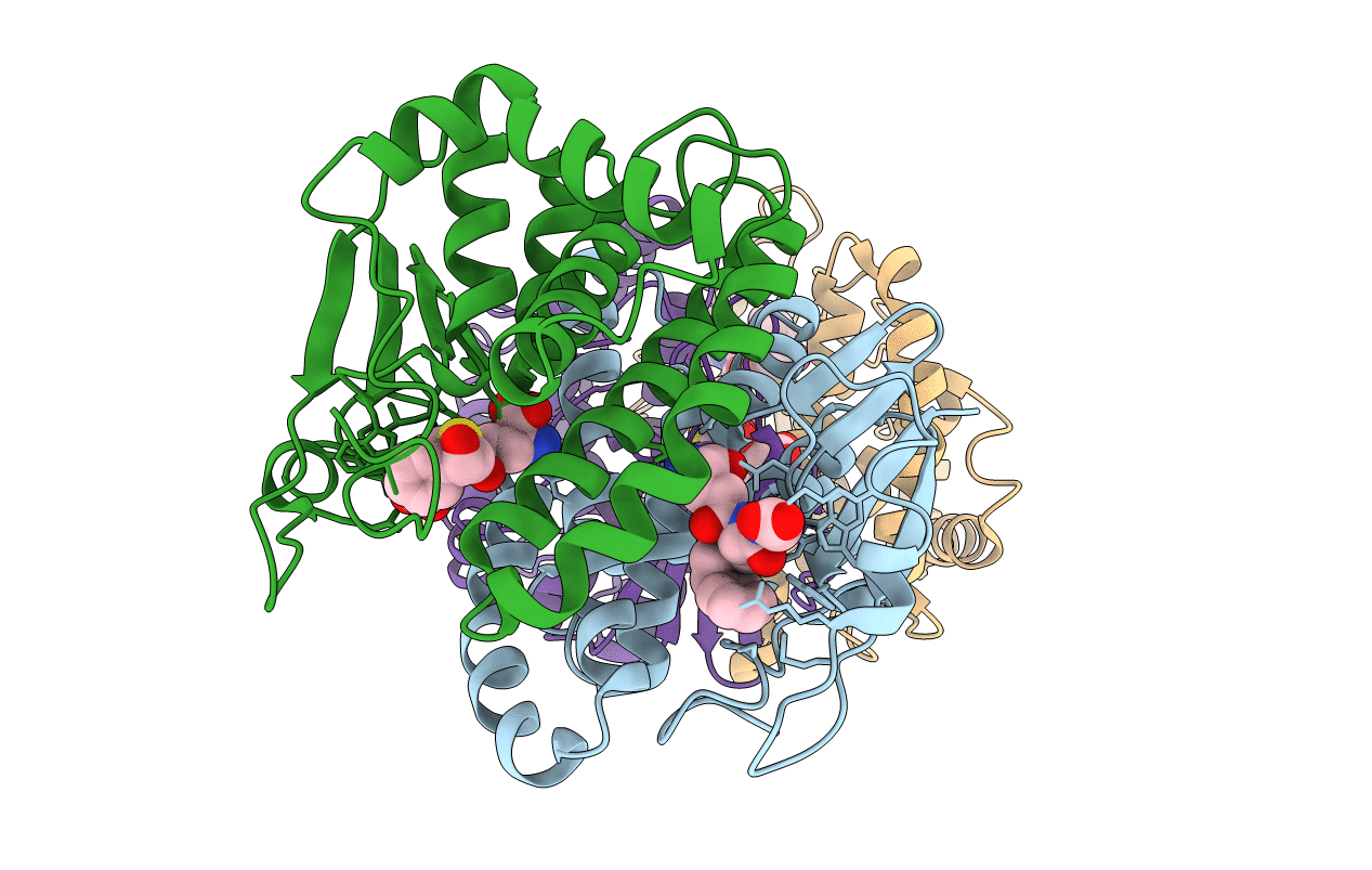 2C4J image