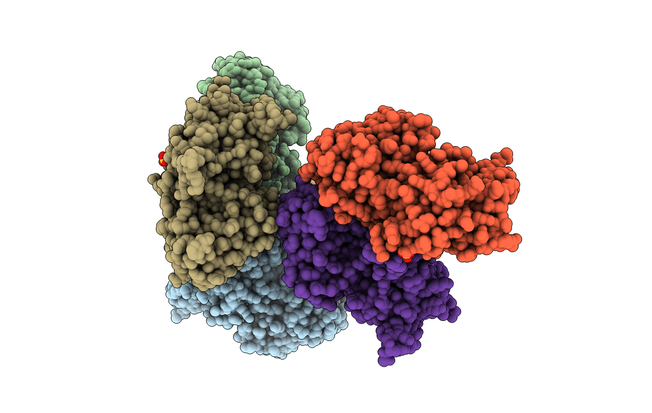 2C4K image