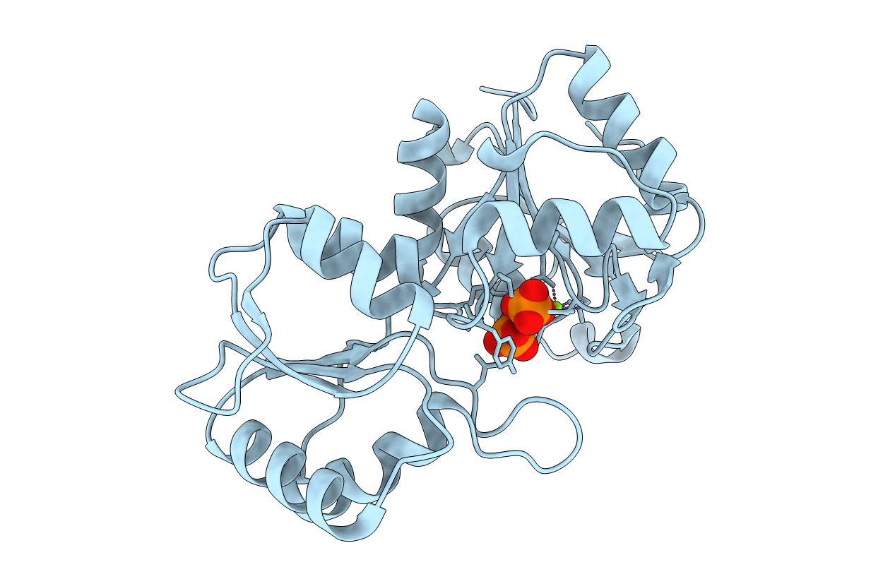 2C4N image