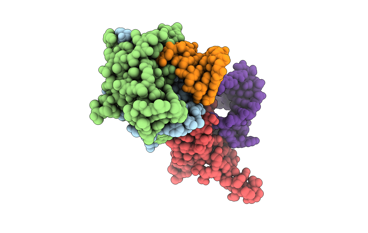 2C4Q image