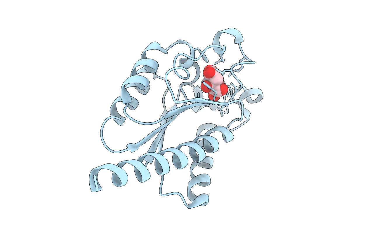 2C4V image