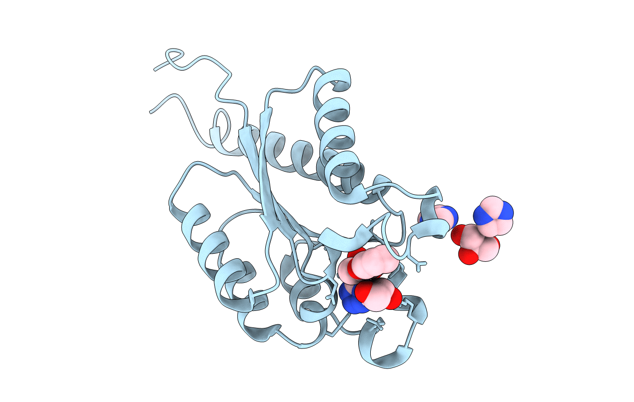 2C4W image
