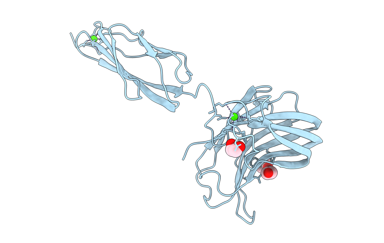 2C4X image