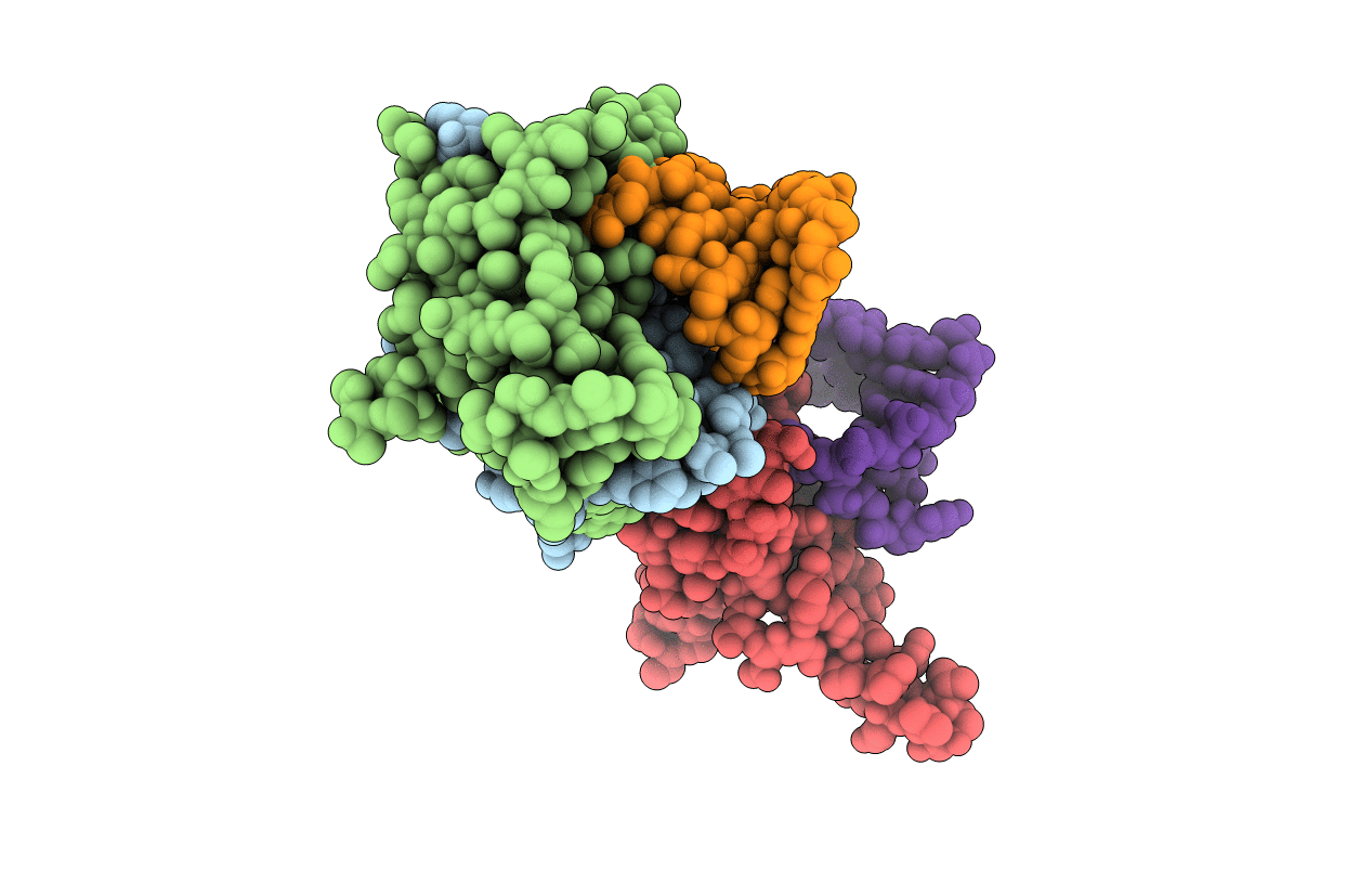 2C4Y image