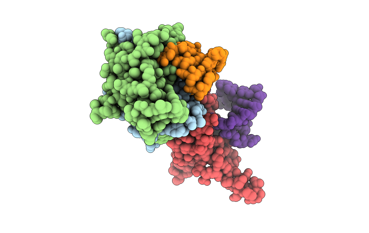 2C50 image