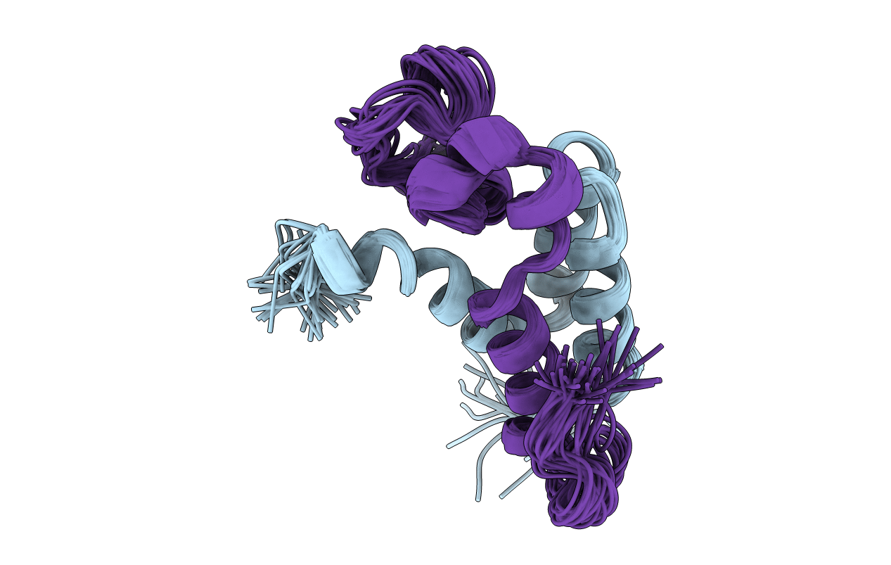 2C52 image