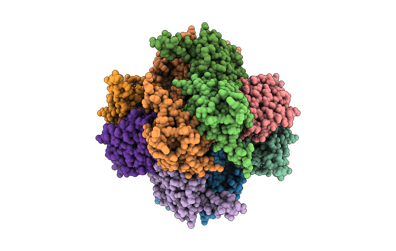 2C57 image
