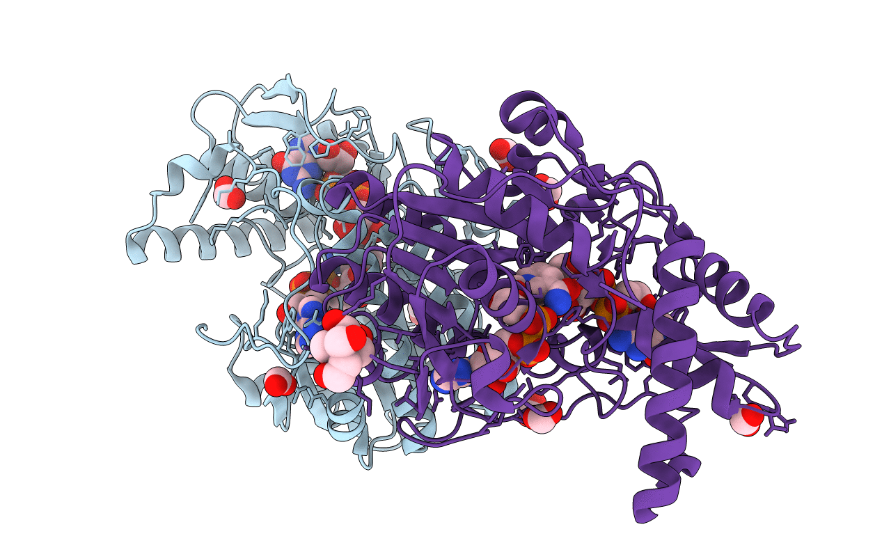 2C59 image