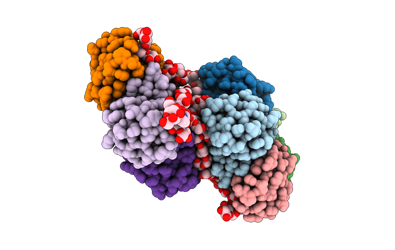 2C5C image