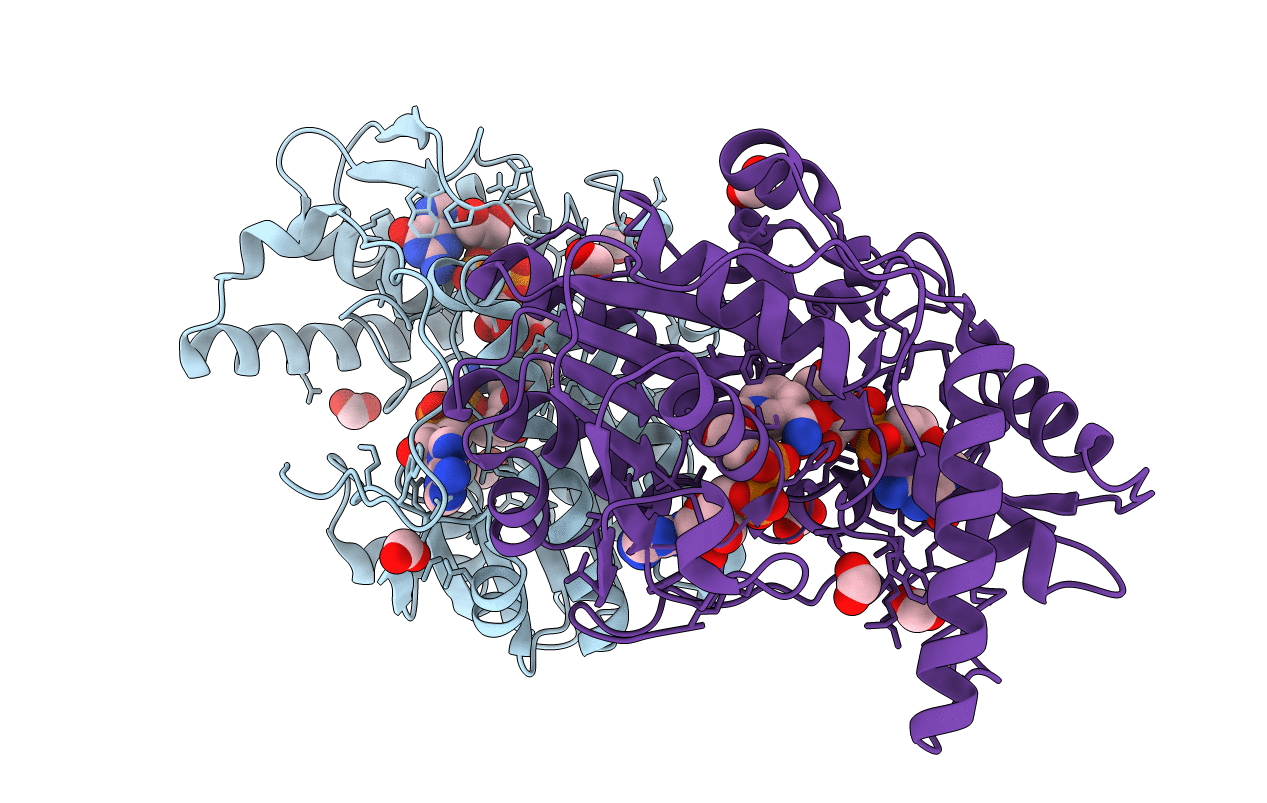 2C5E image