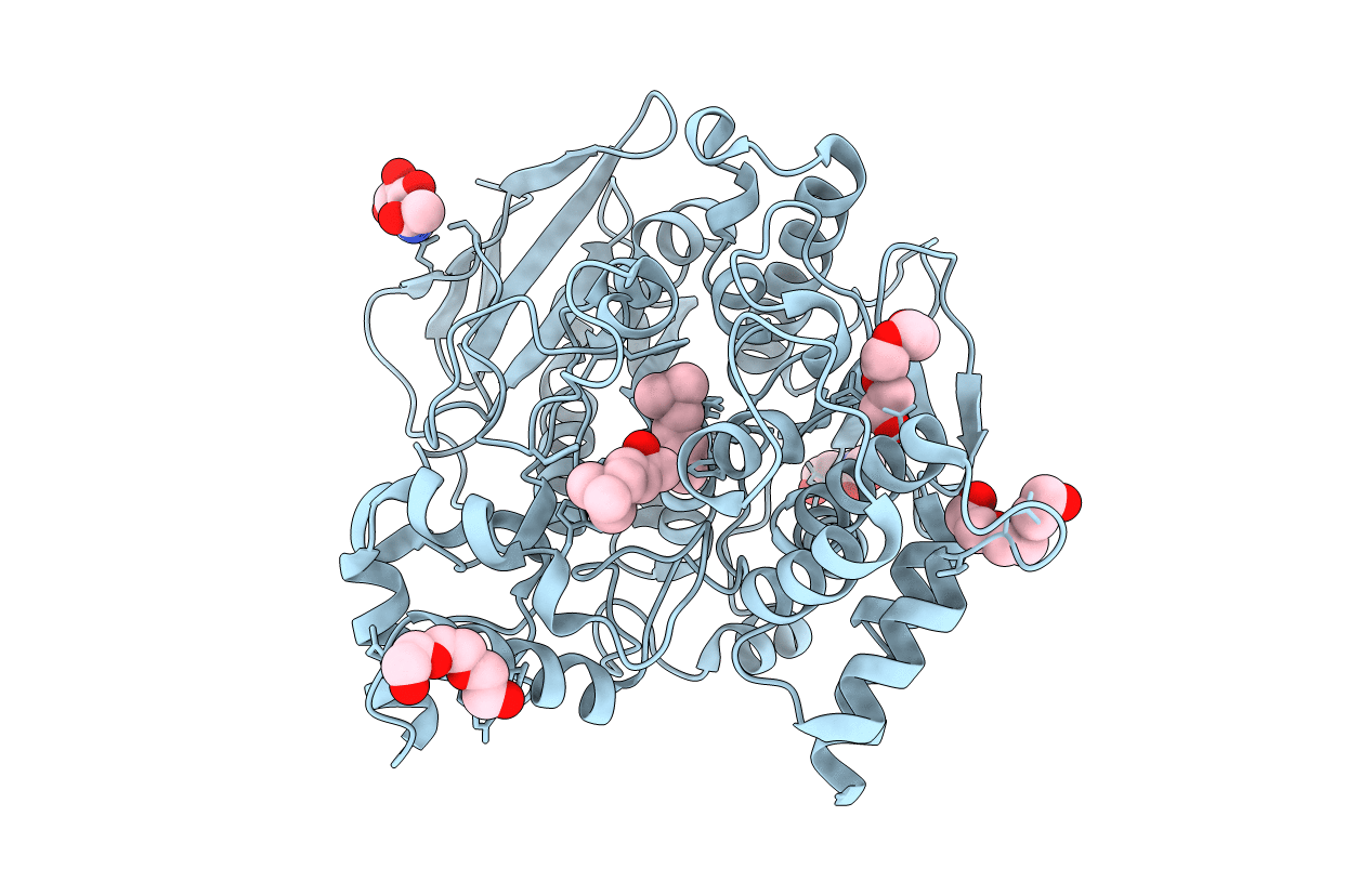 2C5F image