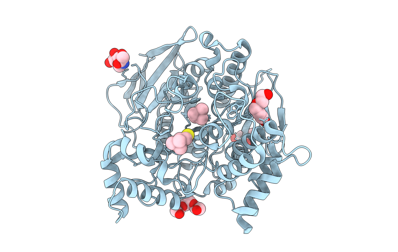 2C5G image