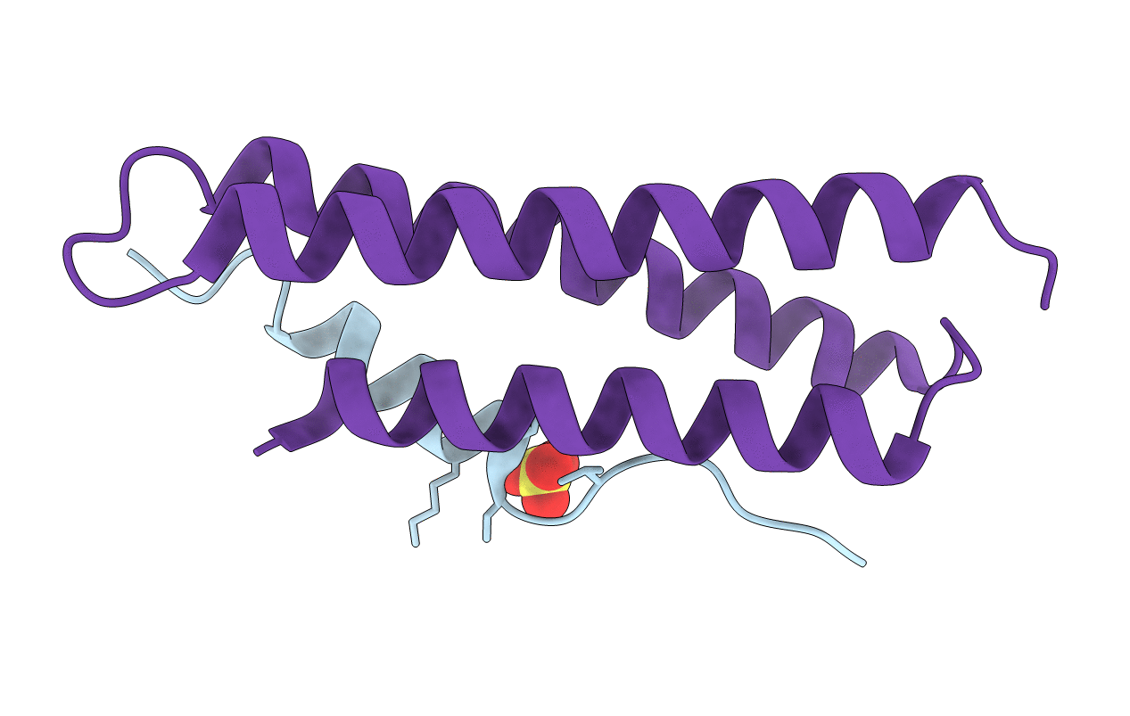 2C5I image