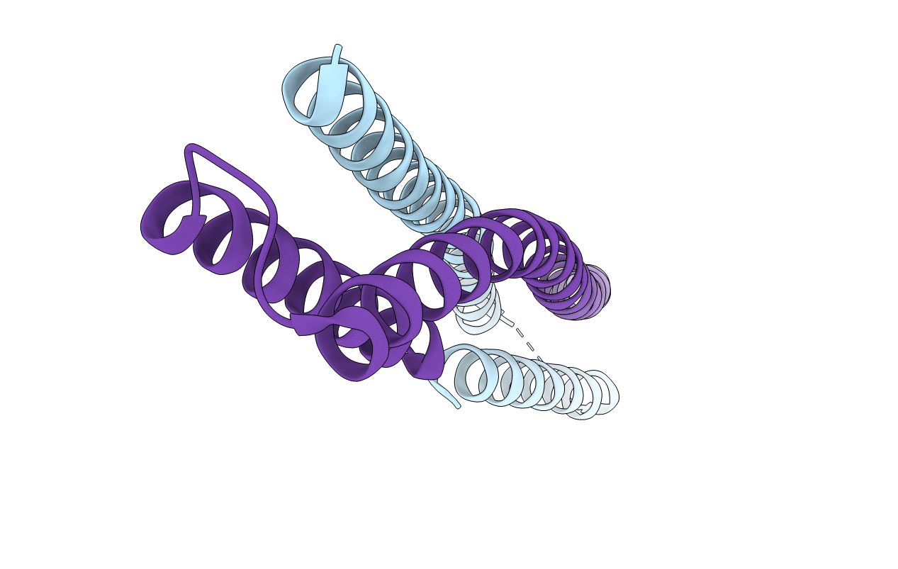 2C5J image