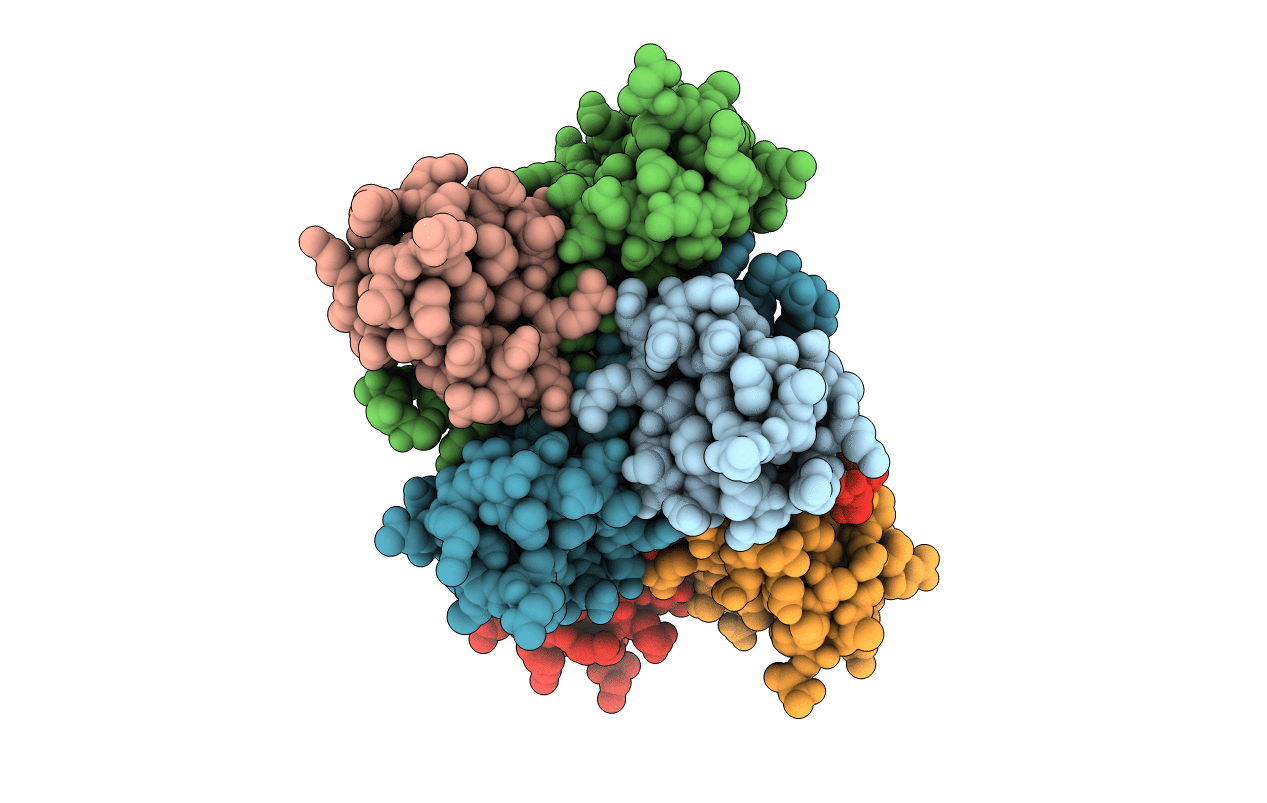 2C5R image