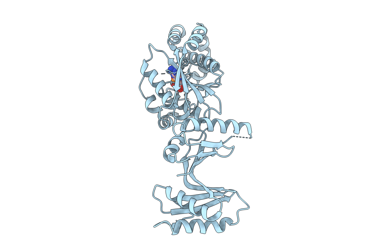 2C5S image